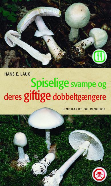 Spiselige svampe og deres giftige dobbeltgængere